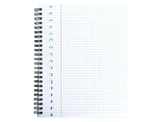 Collegeblok Multo A5 ruit 5mm 17-gaats 160pagina's 90gram - 9