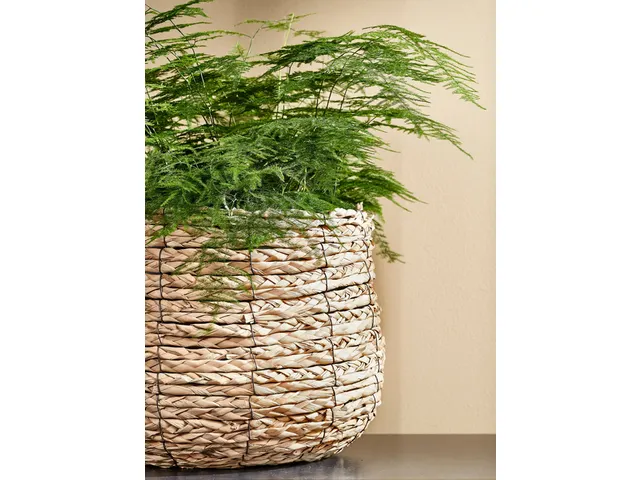 Panier plante Mica Jonc de mer Avalon rond marron clair 26x26cm