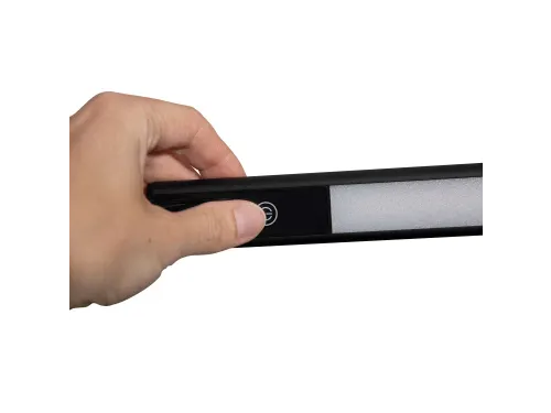 Vloerlamp MAUL Pirro LED dimbaar zwart