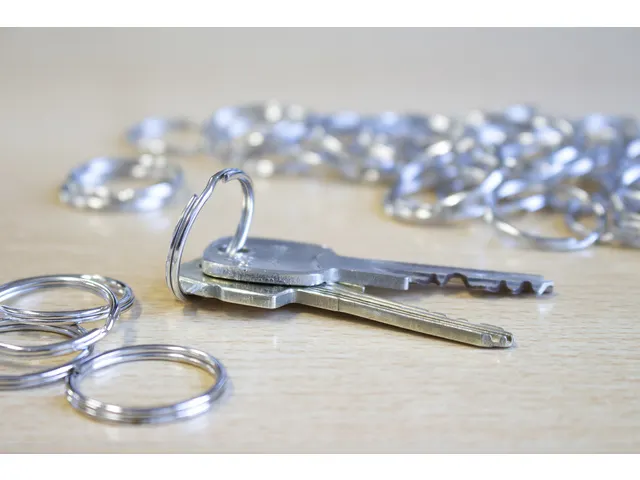 Sleutelring Kangaro 20 mm 100 stuks