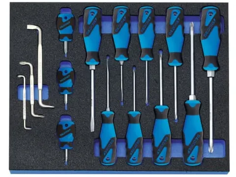 GEDORE 2005 CT2-2160 Schroevendraaierset in controlegereedschapmodule