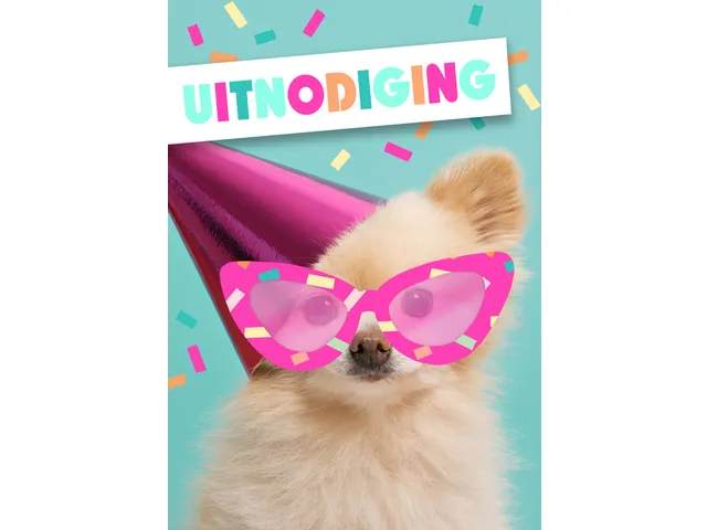 Wenskaart Hallmark uitnodiging hond met zonnebril pak à 5 stuks