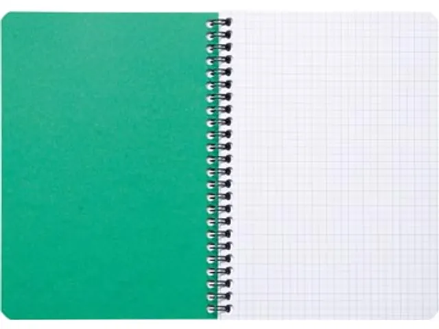 FOREVER spiraalschrift A5 90g geruit groen