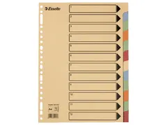 Tabbladen Esselte Premium A4 12-delig karton 23-rings assorti