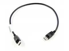 Lenovo 0.5m DisplayPort - DisplayPort Zwart Mannelijk