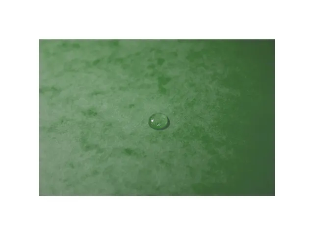 Elastomap glansk.425 3klep Max Cap groen