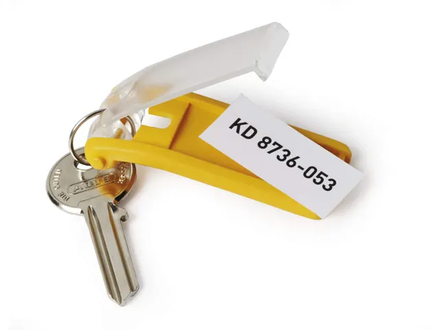 Sleutellabel Durable met ring assorti 6stuks