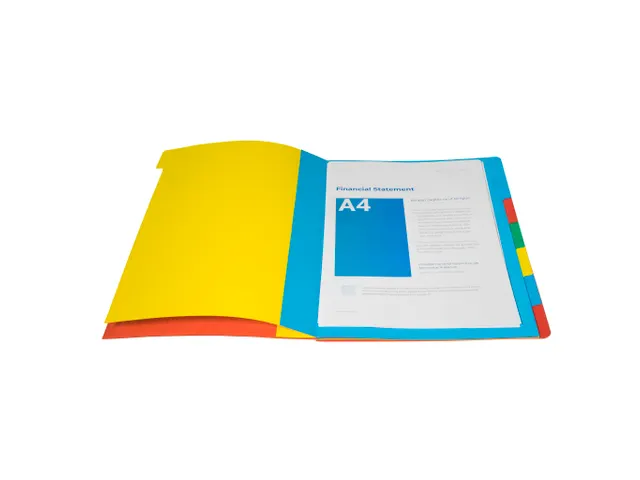 Sorteermap Harmonika vensters 6 vak ass