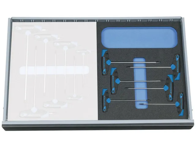 2005 CT2-2142 TX schroevendraaierset in controlegereedschapmodule