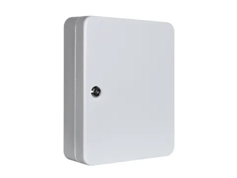 Sleutelkast Staalplaat Hxbxd 300X240X80Mm 35Haakjes Lichtgrijs Ral7035