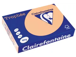 Trophée Pastel gekleurd papier A4 80 gram 500vel Zalm