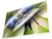 Pochette de plastification Kangaro A4 80 micron 25 flles