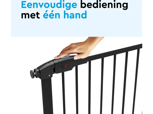 Barrière d'escalier SGB100 Noir