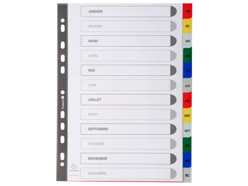 Bedrukte Tabbladen A4 12-delig Jan-dec 11-gaats Frans Assorti