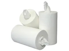 Poetsrol Blanco Mini 2-Laags zonder koker 20cmx60m 12rol