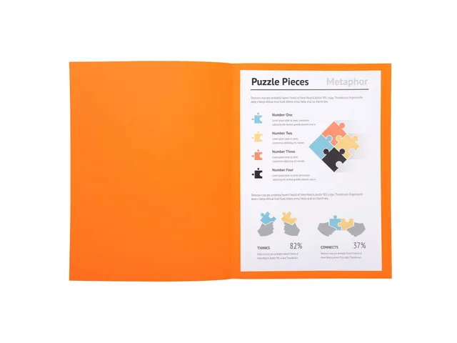 10 Dossiermappen Super 250 - 24x32cm Assorti