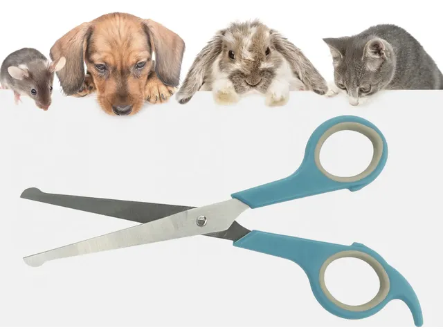 Ciseaux pour animaux Pets Aid Only pointes arrondies 15 et 18 cm