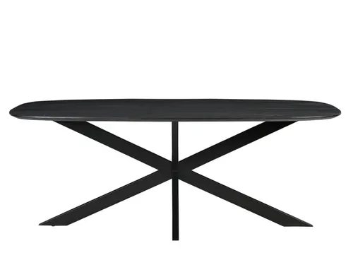 Vergadertafel Harper Deens Ovaal 200x100cm Zwart blad met Spinpoot