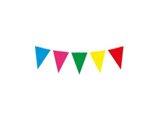 Party Flag PE Multi Colour - 2