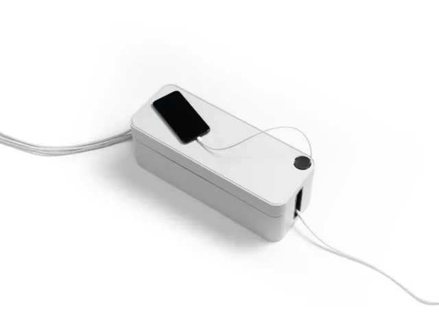 Durable Kabelbox Cavoline Box L Grijs