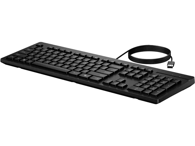 Toetsenbord HP 125 USB bedraad QWERTY