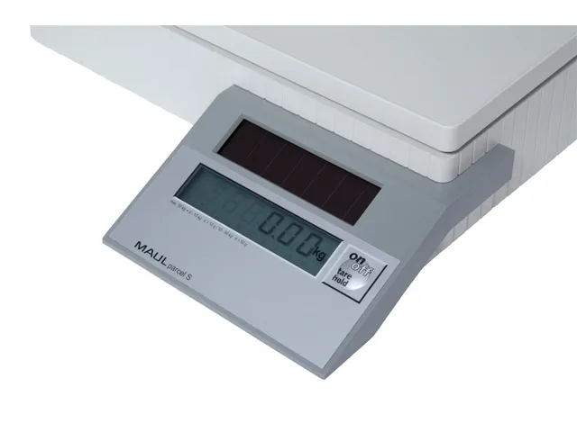 Pakketweger MAULparcel S solar 50kg
