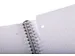 Collegeblok Clairefontaine Studium A4+ ruit 5x5mm 4-gaats 80 pagina's