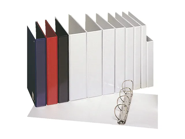 Presentatie Ringband Esselte 4 rings A4 20mm D-mech Panorama Wit