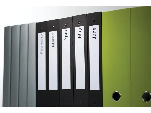 Étiquettes Dymo Labelprint Petit Classeur 38x190mm