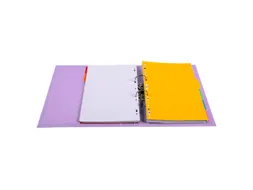 Ordner PVC Prem'Touch A4 50 mm lila