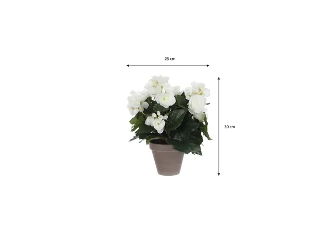 Kunstplant Mica Begonia wit in pot Stan grijs 25x30cm