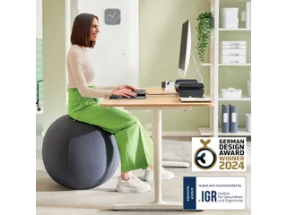 Leitz Ergo Actieve Zitbal anti-rol 75cm Donkergrijs - 21
