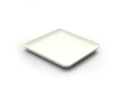 Sier Bagastro Bord Vierkant 160x160mm 12x 40 Stuks