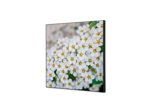 Wanddecoratie Textiel Set 40x40cm Witte Bloem Spirea