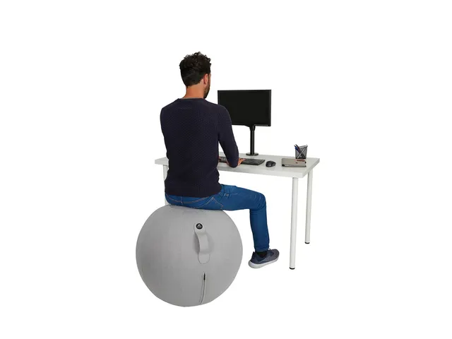 Ergoball ergonomische zitbal grijs Ø 65 cm.