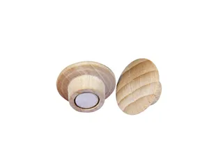 Magneet Legamaster hout 5 stuks - 2