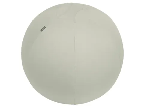 Leitz Ergo actieve zitbal anti-rol met stop-functie 65cm lichtgrijs