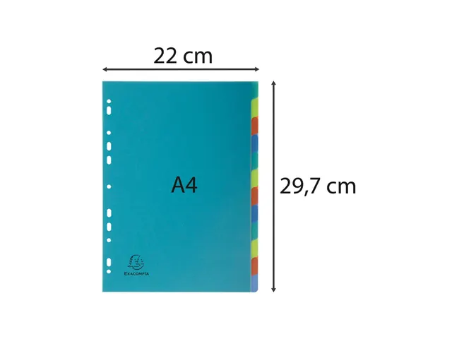 Intercalaires polypropylène recyclé Forever 12 positions - A4 - Coul