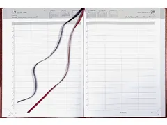 Agenda 2027 Brepols Bremax Santex A4 1dag/1pagina 4 kolommen bordeaux
