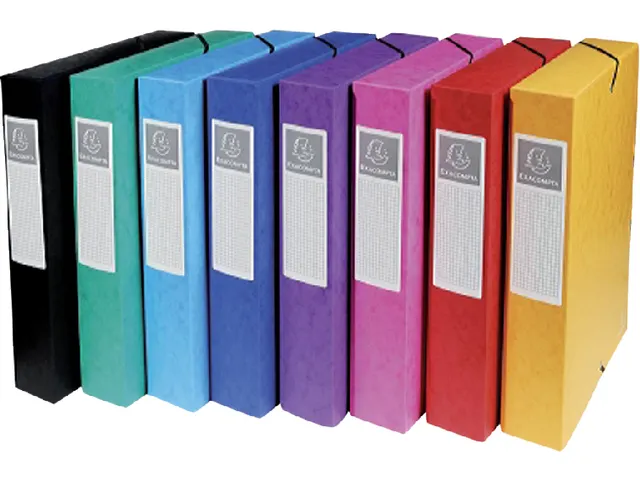 Elastobox Exacompta A4 60mm 600gr Assorti karton
