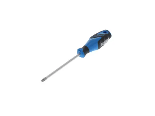 2163 Schroevendraaier TX T40 3C