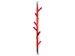Wandkapstok Linair Rood, Verchroomd
