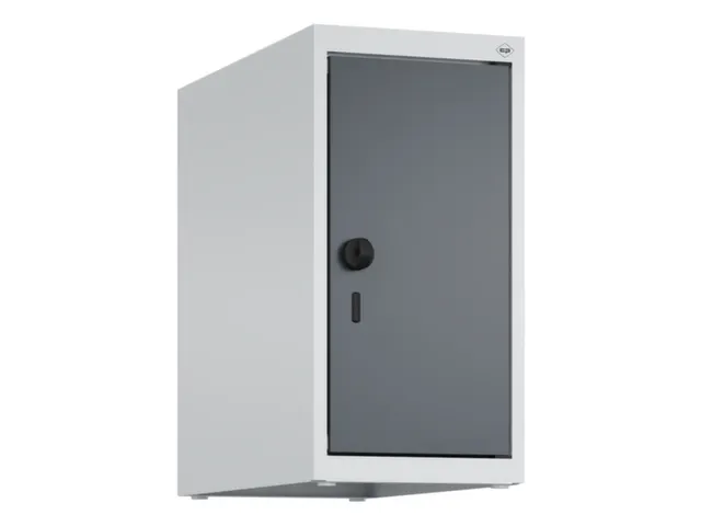 opzetkast,v. locker,1vak.,vak B 250mm,HxBxD 500x250x500mm,vleugeldeur
