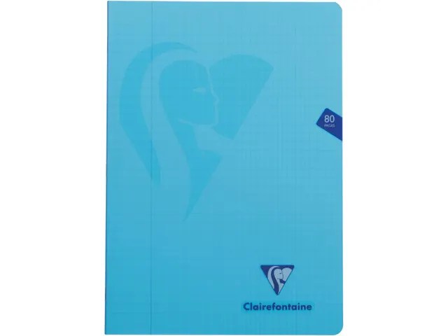 Schrift Mimesys Pp A4 80blz Geruit 4x8mm Assorti