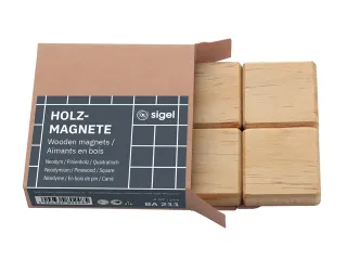 Magneten Sigel vierkant 4 stuk - 1