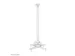 Support de plafond pour vidéoprojecteur Neomounts CL25-550WH1 blanc