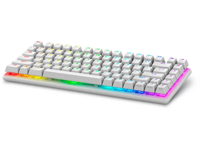 2.4GHz, Bluetooth 5.1, Mechanical Switches, RGB, 819.73g, Lunar Light