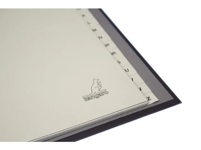 Tabblad ECO Kangaro A4 letters 180 grams grijs karton 4-gaats 20-delig