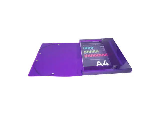 Klasseerdoos IDERAMA PP rug 25mm ass.