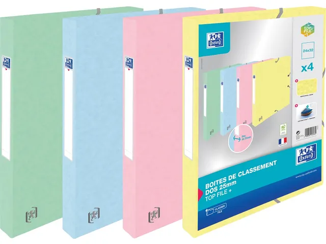 Top File+ elastobox rug 25 cm pastelkleuren 4 stuks